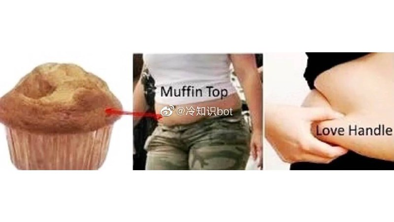 腰部两侧多出来的肉肉在英文里叫love handles(爱的把手？)，常用在口语里，而肚子中间突突的肉叫muffin top，muffin是玛芬蛋糕