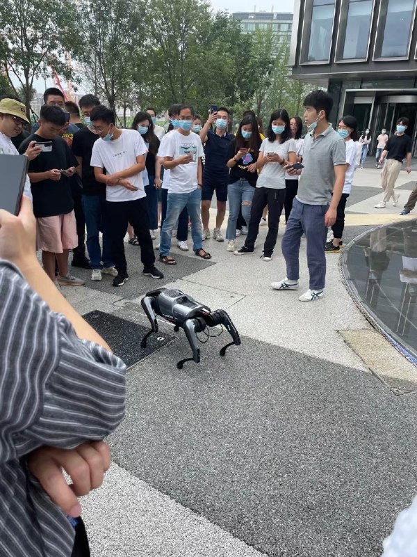 震惊！有人上班时间在公司溜狗 #科技圈大小事
