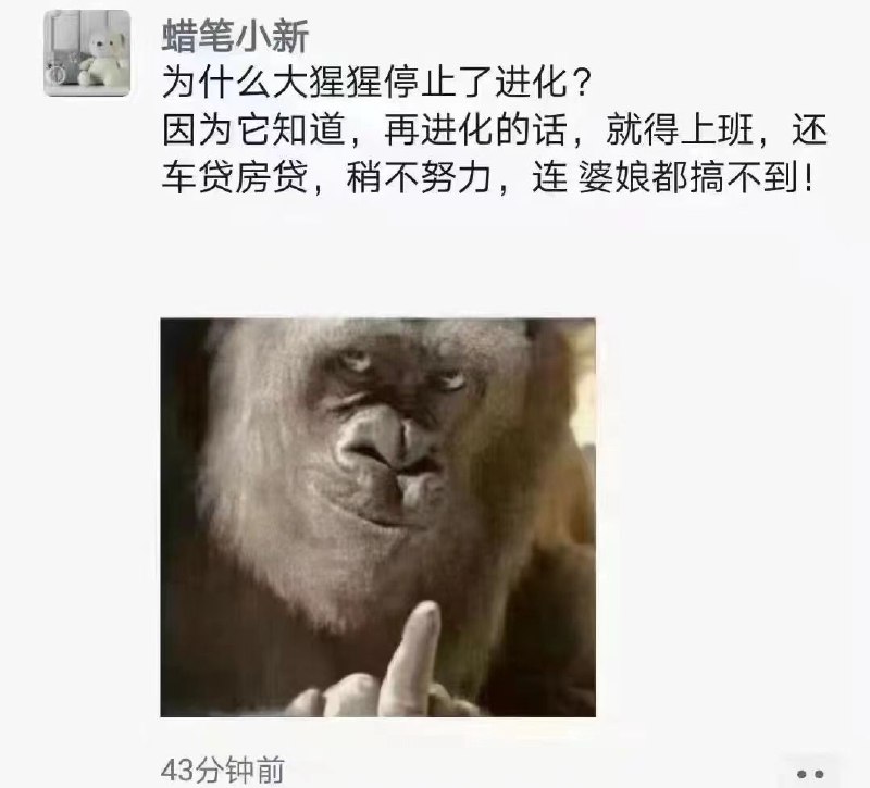 真有文化 #今天有什么好笑的