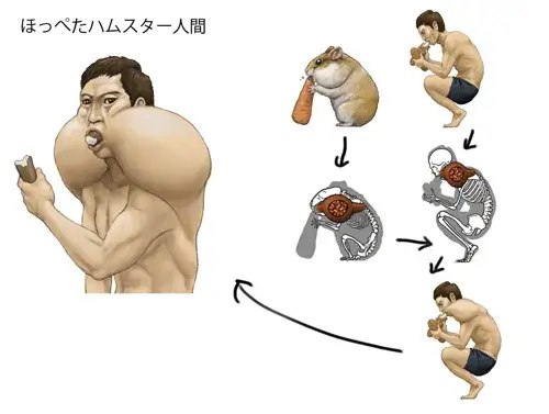 确实是这样～动物身体结构代换成人类的身体结构