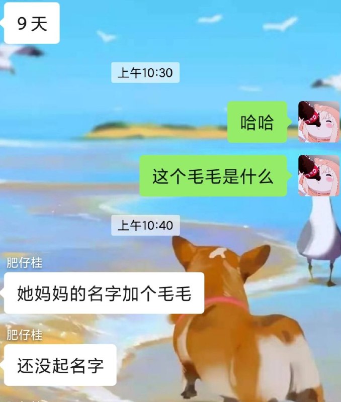 哈哈今天才知道，出生9天的宝宝，因为没来得及起名字，医院病历上统一叫做“毛毛”