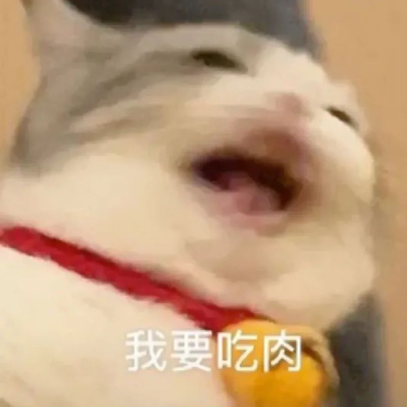 第一次吃席用电！动！转！盘！太哇塞了我这筷子怎么都追不上我的四喜丸子🌚 #今天有什么好笑的