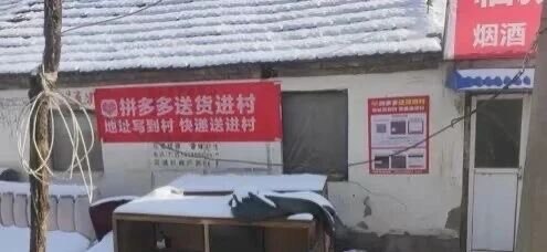 拼多多“送货入村”