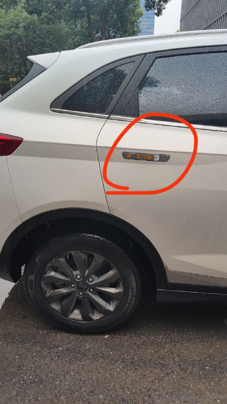 这个车门把手设计很扯正确的开门方式是按着前面的部分，利用杠杆原理把车把手掀起来，然后用手拉掀起来的把手，从而开车门错误的开门方式有多少呢？1，按一下以为是自动开门2，按最前面的部分，发现按不动3，扣把手尾部，发现扣不动4，……早上下大雨，我开门开了一分钟