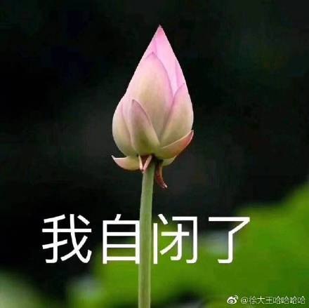 【我自闭了/我想开了/我枯了】近期又重新流行的几条网络短语和表情包