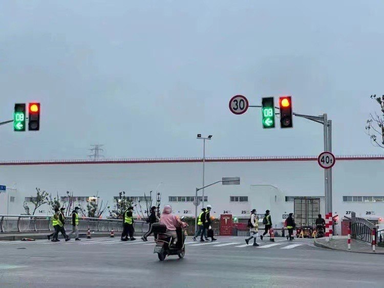 特斯拉中国区揭蛊 第一季 