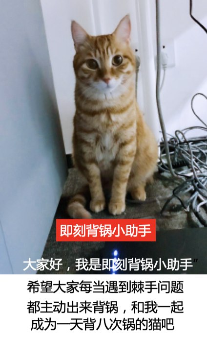 冲我来吧   #热门网络梗普及