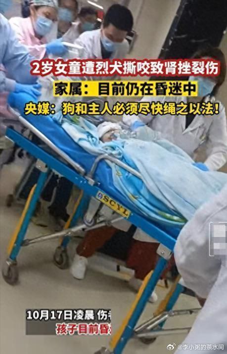 流浪狗的问题，是结构性矛盾，必须有人出来做“坏人”，而那些城市管理者、学校保安就扮演了“坏人”角色