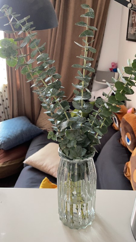 昨天看到兴酱说担心美团饿了么看不见的对手，其实可以去看看张大奕，或者淘宝上那些以前非常非常出名的神仙级店铺和原创淘品牌