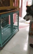 产品和开发在线上吵了许久，于是领导开了一个会议室让他们聊聊…🌝🌝   #工程师的日常