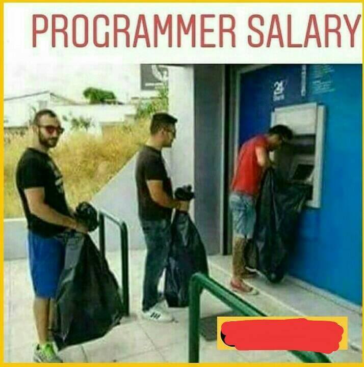 据说程序员的工资都是用这么大的袋子装的🤓🤓   #工程师的日常