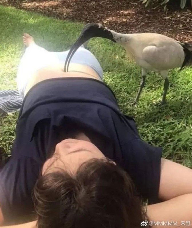 抠你脐哇 #今天有什么好笑的