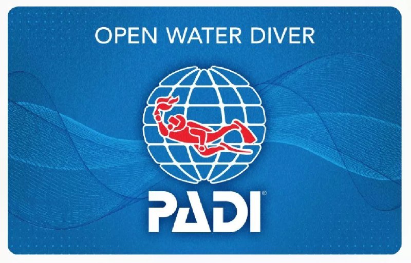 世界最大的潜水训练机构 PADI 从 2018 易主以后， 目前实际归属中国家族财团 Mandarin