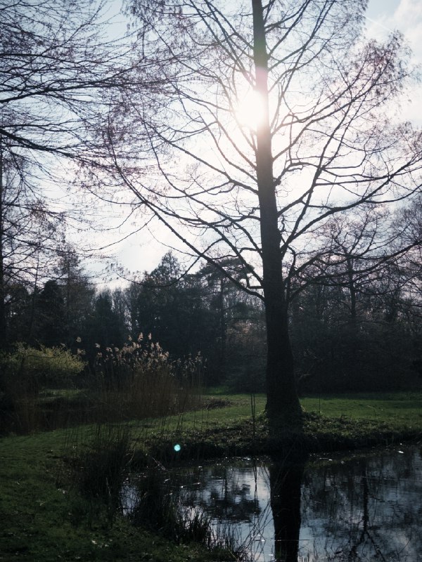 有意思的是Henk Sneevlietweg 这一站是用Henk Sneevliet本人的名字命名的