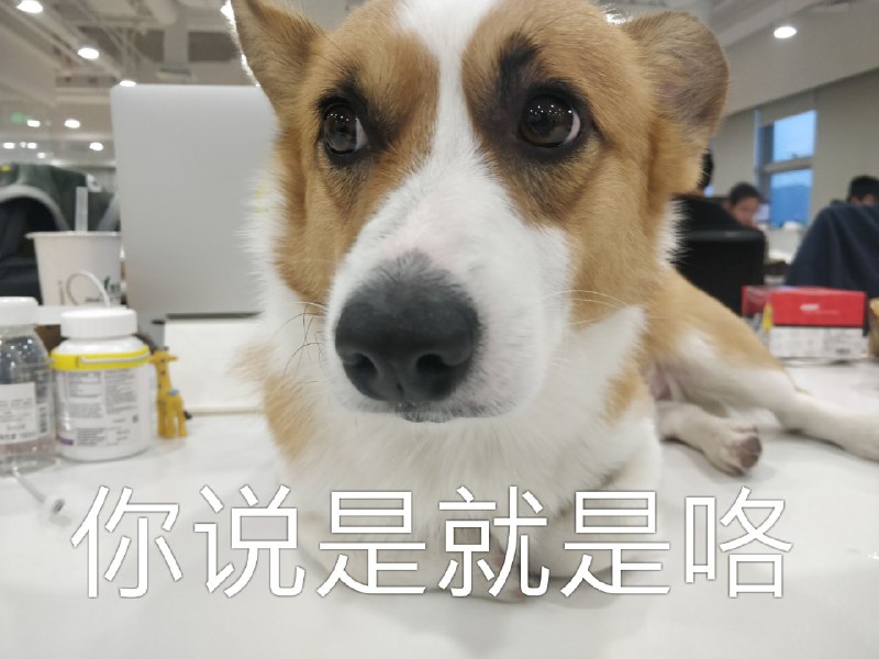 #即友社4月1日报 【即刻预计将于2020年2月30日收购BAT，冲击市值第一宝座】“厨子”惊了！“佩奇”呆了！据《即民晚报》特别消息，即刻目前就收购BAT开始了洽谈工作，收购预计将于明年2月30日正式完成