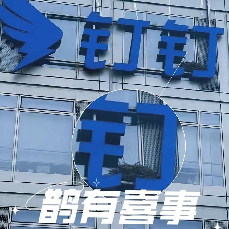 钉钉总部的LOGO被喜鹊筑巢了… #科技圈大小事