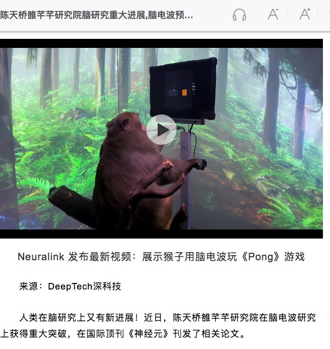 新浪科技真蠢！一夜之间给所有文章插入了视频
