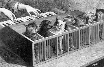 有一种乐器叫Katzenklavier，是一种由活猫组成的乐器