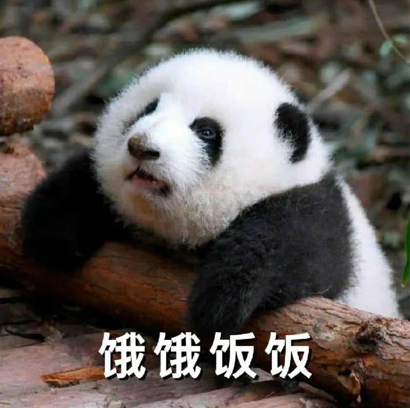 今年开始，中国航天员食谱上删除了压缩饼干