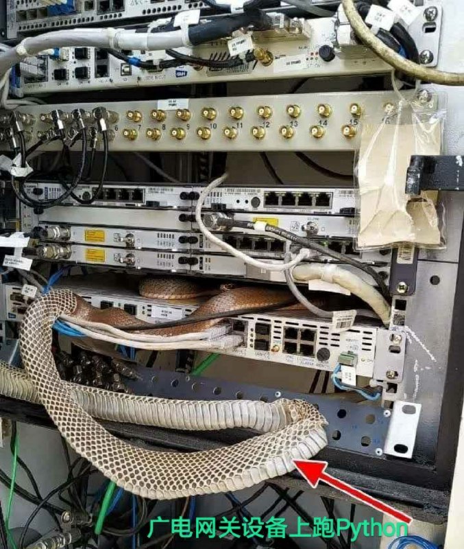 一个好的工程师，不仅要会捉虫，还要会抓蛇😳😳😳   #工程师的日常