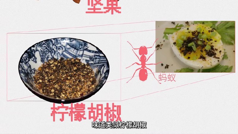 关于蚂蚁🐜的一些味觉记忆.. 在Amico BJ吃的黑蚂蚁，在云南吃的蚂蚁蛋汤，和看到很多虫子的那一刻🙃🙃🙃吃的时候还是有点懵圈儿，看视频再对上了，蚂蚁的风味类似柠檬胡椒（好像是的指路图6👇，在腾讯视频 #无用但有趣的冷知识关于蚂蚁🐜的一些味觉记忆.. 在Amico BJ吃的黑蚂蚁，在云南吃的蚂蚁蛋汤，和看到很多虫子的那一刻🙃🙃🙃吃的时候还是有点懵圈儿，看视频再对上了，蚂蚁的风味类似柠檬胡椒（好像是的指路图6👇，在腾讯视频 #无用但有趣的冷知识