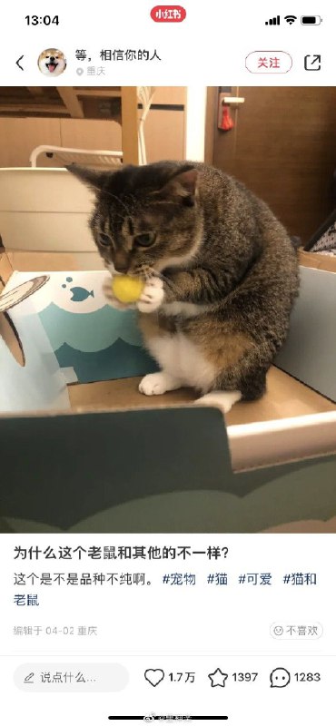 🤣🤣🤣 #今天有什么好笑的