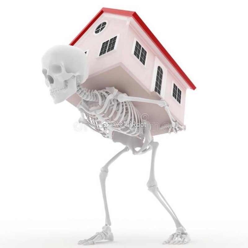 mortgage（按揭贷款，房贷）这个词来源于古法语，直译为英语是