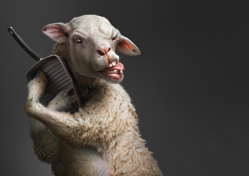 人类最伟大的文明发现是啥？ #无用但有趣的冷知识