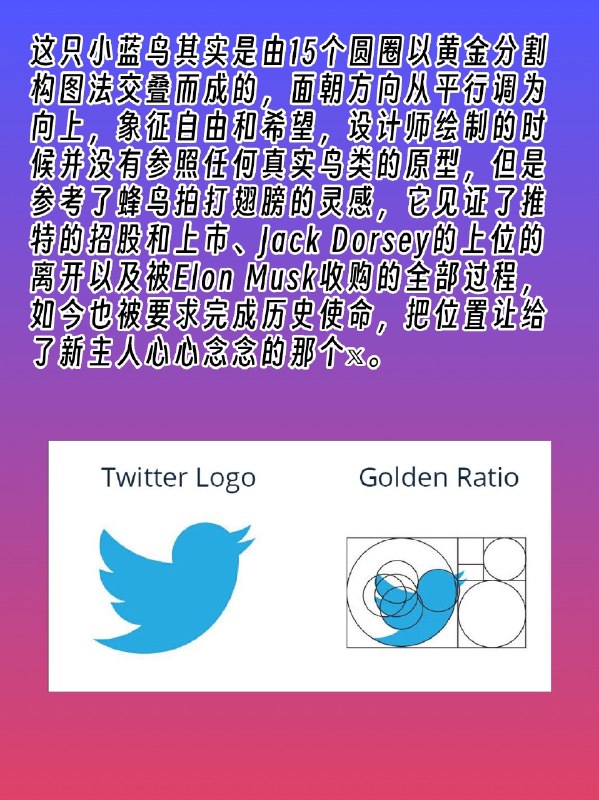 推特小蓝鸟的一生