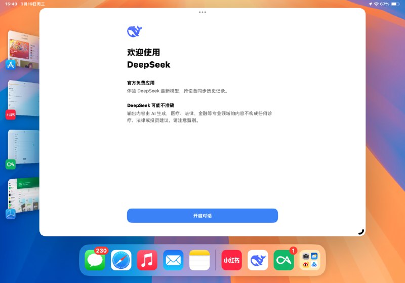 DeepSeek对iPad进行了适配by @骨科赞助滑手  #大产品小细节