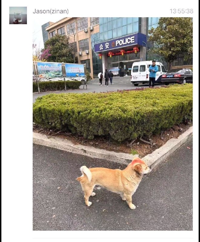 这些人真的太过分了