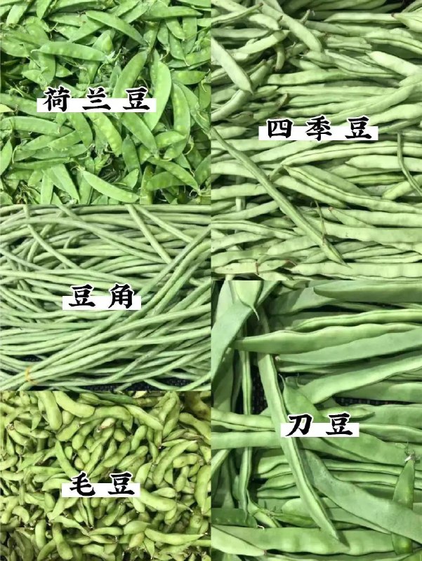 你分得清吗？ #无用但有趣的冷知识