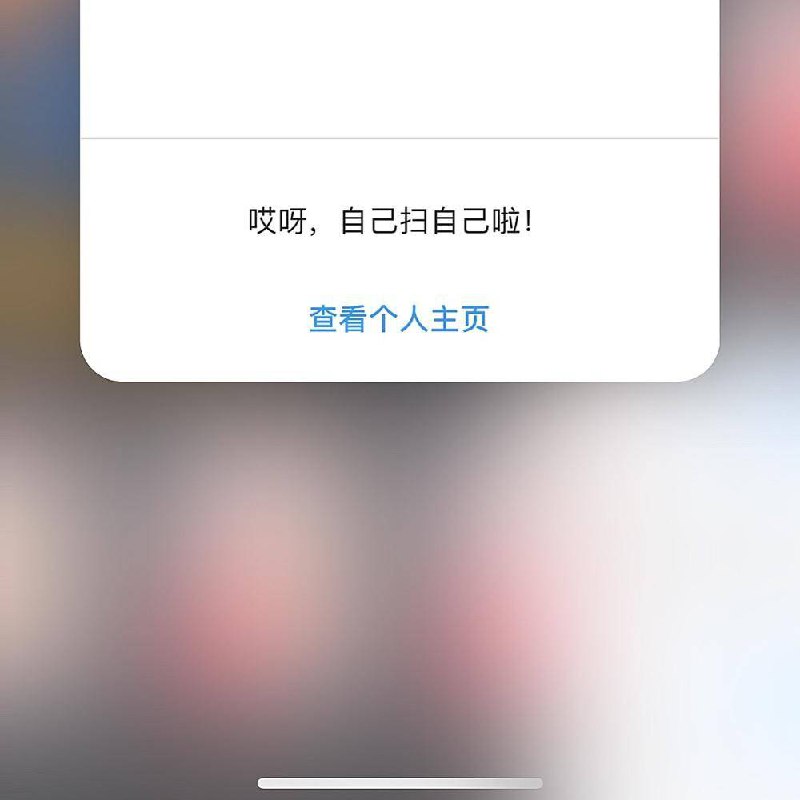 扫自己的INS名片，提示文案调皮了，有意思，常见的会直接导向自己页面