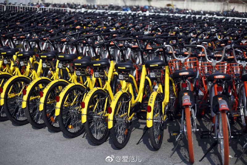 【交通部拟规定