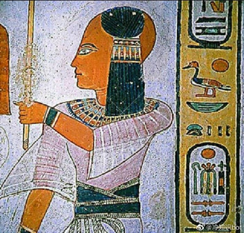 古埃及人男男女女都有剃头的习惯，“秃头”在当时被认为是美的缩影