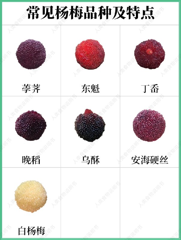 吃个杨梅，都能轻轻松松学到一卡车的知识！这就是我喜欢小红书其中一大原因🤣🤣🤣 #无用但有趣的冷知识吃个杨梅，都能轻轻松松学到一卡车的知识！这就是我喜欢小红书其中一大原因🤣🤣🤣 #无用但有趣的冷知识