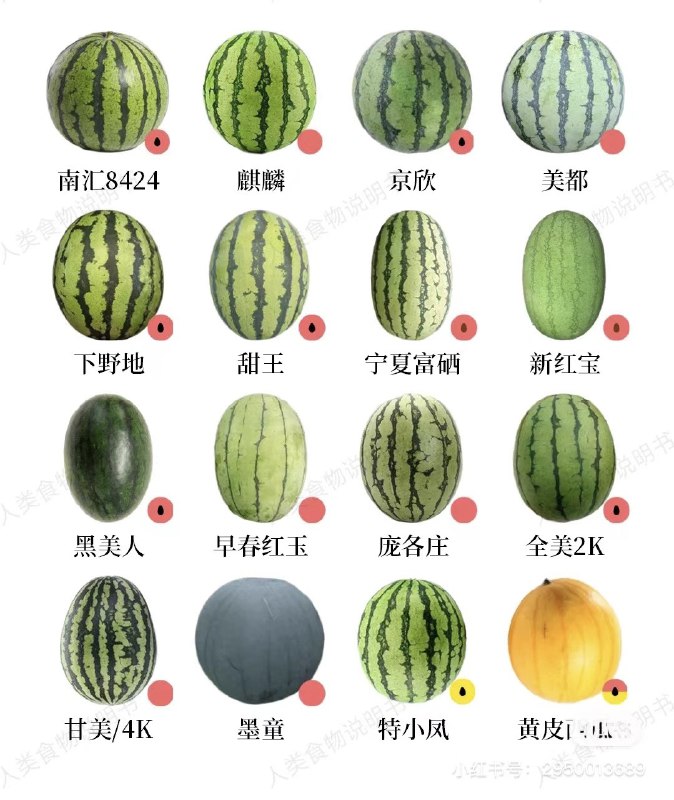 小孩才做分辨，我全都要