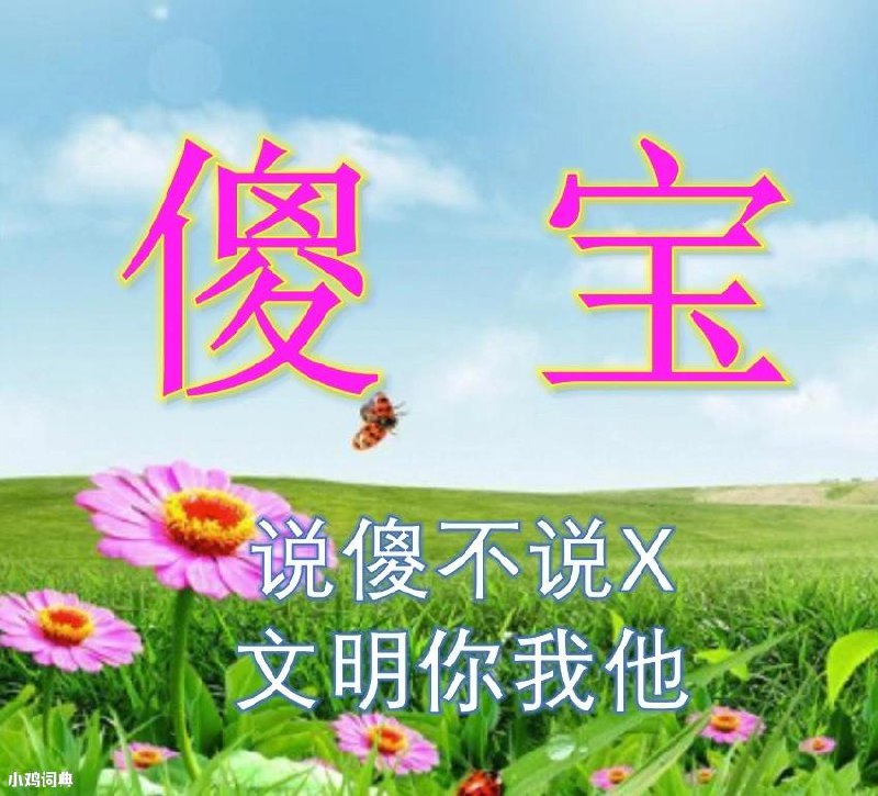 傻宝※‌‌​‌‌‌​​​​​‌​‌​​‌‌​‌‖含义‖