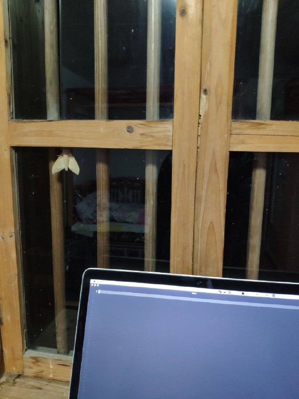 回村里，正写着bug呢，bug真的来了😳   #工程师的日常