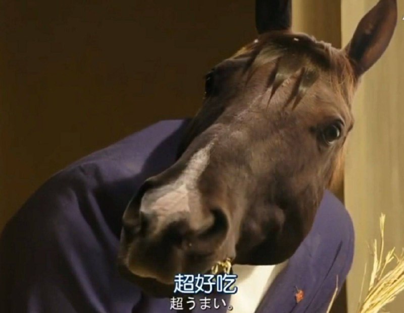 马不能呕吐，也无法用嘴进行呼吸