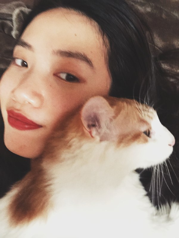 我姨父诊断出胃癌之后，全家人都把矛头对准了他们家养的一只京巴狗，包括姨父本人，说什么狗身上细菌很多，狗毛飘起来吃进胃里...但为什么不说自己常年喝酒，当年在酒桌上劝酒最凶的那个人是谁呢？狗被送走了，送得很无辜、很魔幻