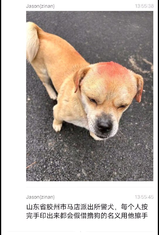 这些人真的太过分了