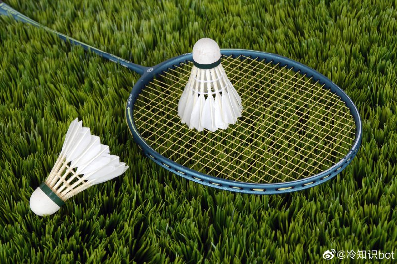 羽毛球的英文是一个地名1873年，在英国格洛斯特郡的伯明顿庄园举行了一场公开表演，引起许多人的注意，并逐渐传播开来