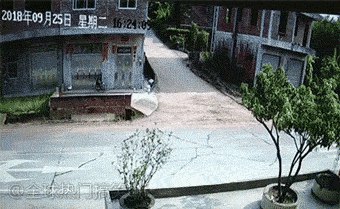 Bug?Feature?😱😱   #工程师的日常