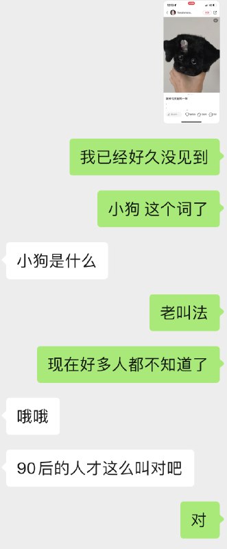 怀念郭老师 #热门网络梗普及