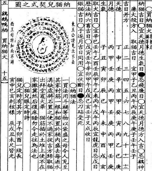 在鼠患为灾的古代，人们决定养猫是一件认真严肃的事情