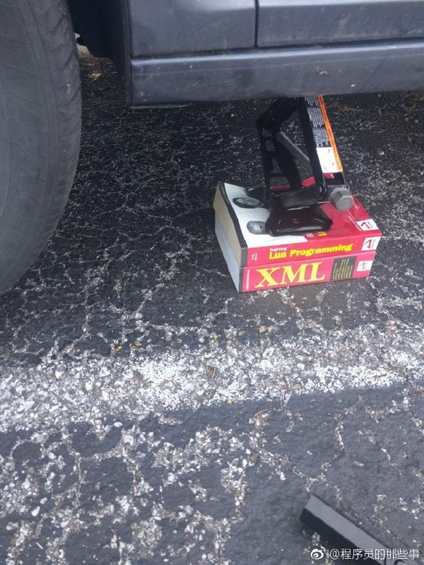 IT 砖头书的妙用之一……🐶  