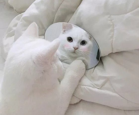 #KY研究转播台# 想让自己开心？研究说，多照照镜子！ 近期发表于Cerebral Cortex 的一项研究发现，与他人的面孔相比，我们更善于识别也更喜欢看见自己的面孔