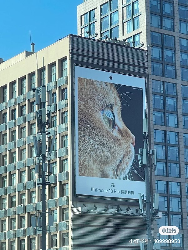 苹果的户外广告值得厂商学习 #大产品小细节