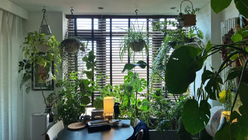 我以前对团队的理解一直是，老板走在前面，拉着身后的团队一起做事